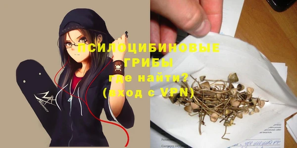гашик Остров