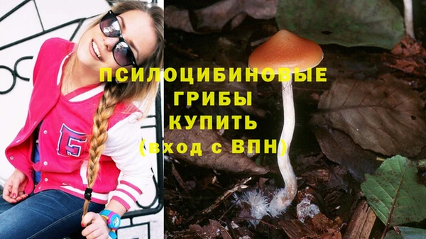 гашик Остров