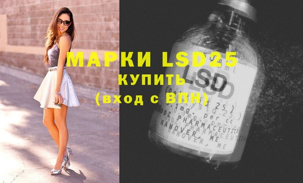 стафф Осинники