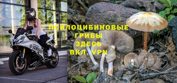 стафф Осинники