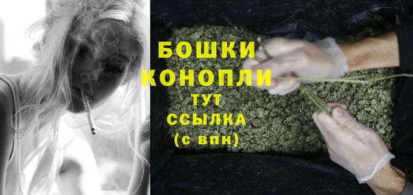 стафф Осинники