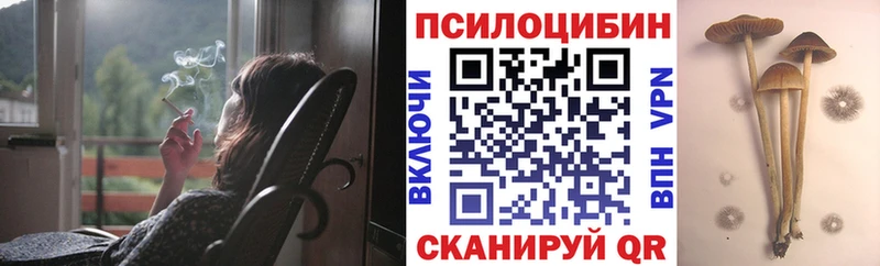 Псилоцибиновые грибы Psilocybine cubensis гидра ONION Рославль купить цена